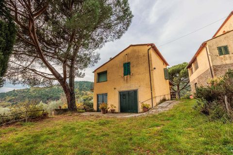 Farm hus i Loro Ciuffenna, Arezzo, Loro Ciuffenna - € 790.000 | Ref: ILV92964-1399431 - foto 5