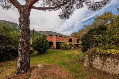 Farm hus i Loro Ciuffenna, Arezzo, Loro Ciuffenna - € 790.000 | Ref: ILV92964-1399431 - foto 15