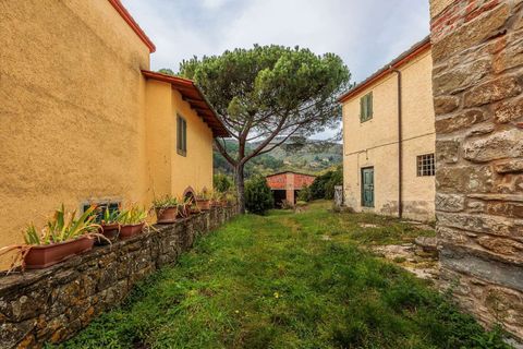 Farm hus i Loro Ciuffenna, Arezzo, Loro Ciuffenna - € 790.000 | Ref: ILV92964-1399431 - foto 38