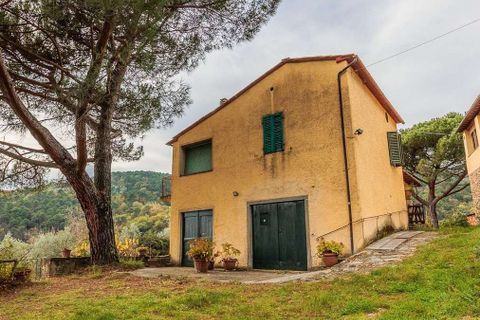 Farm hus i Loro Ciuffenna, Arezzo, Loro Ciuffenna - € 790.000 | Ref: ILV92964-1399431 - foto 42