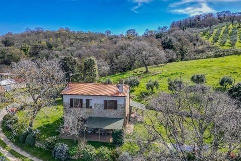 Farm hus i Scansano, Grosseto, Scansano - € 790.000 | Ref: ILV92967-1399571 - foto 10