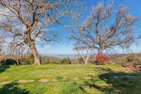 Farm hus i Scansano, Grosseto, Scansano - € 790.000 | Ref: ILV92967-1399571 - foto 35