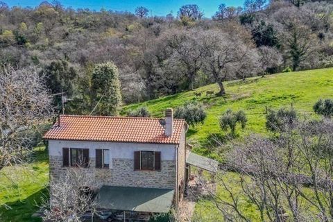 Farm hus i Scansano, Grosseto, Scansano - € 790.000 | Ref: ILV92967-1399571 - foto 36