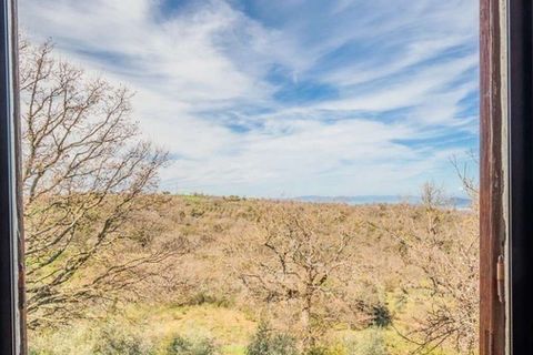 Farm hus i Scansano, Grosseto, Scansano - € 790.000 | Ref: ILV92967-1399571 - foto 44