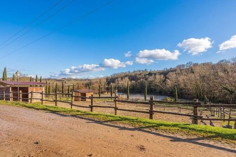 Farm hus i Terranuova Bracciolini, Arezzo, Terranuova Bracciolini - € 750.000 | Ref: ILV92975-1399957 - foto 17