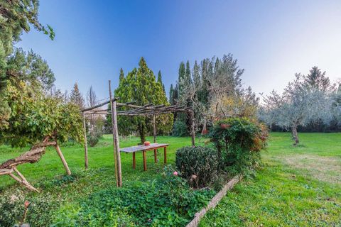 Farm hus i Buggiano, Pistoia, Buggiano - € 750.000 | Ref: ILV92981-1400216 - foto 12