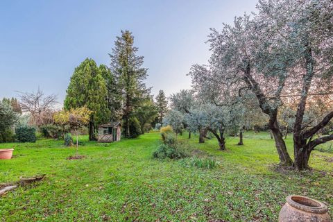Farm hus i Buggiano, Pistoia, Buggiano - € 750.000 | Ref: ILV92981-1400216 - foto 24