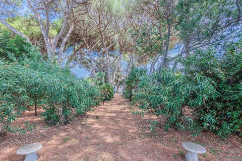 Villa en Cecina, Livorno, Cecina - € 750.000 | Ref: ILV92984-1400369 - photo 20
