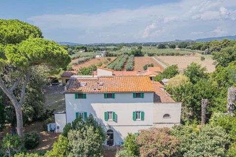 Villa en Cecina, Livorno, Cecina - € 750.000 | Ref: ILV92984-1400369 - photo 33