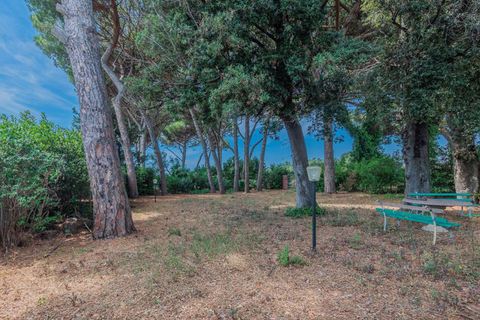 Villa en Cecina, Livorno, Cecina - € 750.000 | Ref: ILV92984-1400369 - photo 35
