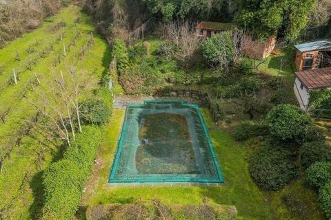 Villa in Arezzo, Arezzo, Arezzo - € 720.000 | Ref: ILV93014-1400751 - foto 20