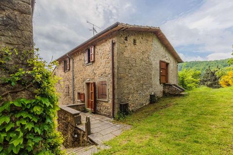 Gårdshus i Bibbiena, Arezzo, Bibbiena - € 700 000 | Ref: ILV93021-1401242 - foto 24