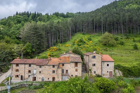 Gårdshus i Bibbiena, Arezzo, Bibbiena - € 700 000 | Ref: ILV93021-1401242 - foto 26