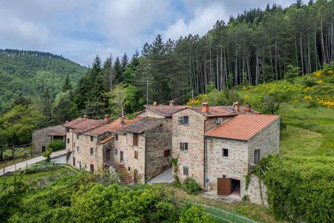 Gårdshus i Bibbiena, Arezzo, Bibbiena - € 700 000 | Ref: ILV93021-1401242 - foto 27
