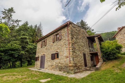 Gårdshus i Bibbiena, Arezzo, Bibbiena - € 700 000 | Ref: ILV93021-1401242 - foto 28