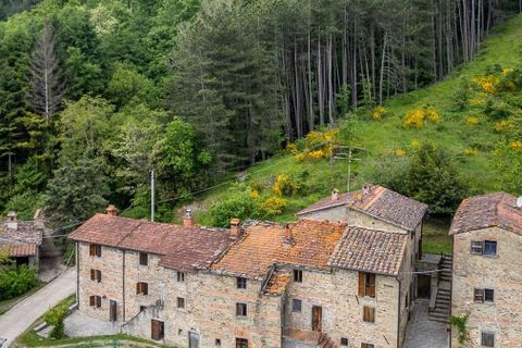 Gårdshus i Bibbiena, Arezzo, Bibbiena - € 700 000 | Ref: ILV93021-1401242 - foto 42