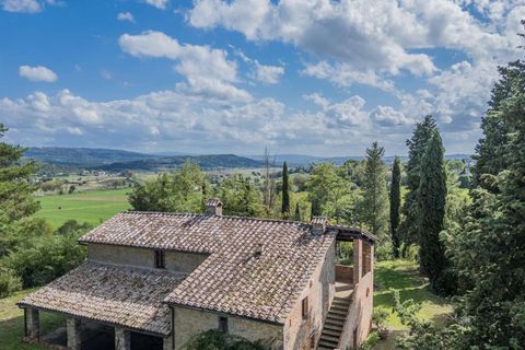 Farm hus i Cetona, Siena, Cetona - € 690.000 | Ref: ILV93071-1402356 - foto 18