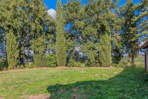 Farm hus i Cetona, Siena, Cetona - € 690.000 | Ref: ILV93071-1402356 - foto 44