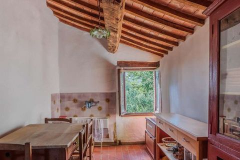 Farm hus i Cetona, Siena, Cetona - € 690.000 | Ref: ILV93071-1402356 - foto 47