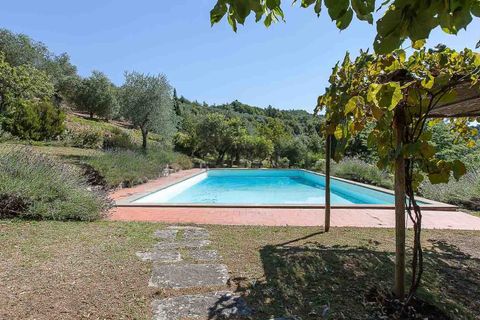 Landejendom i Pontassieve, Florence, Pontassieve - € 2.500.000 | Ref: ILV93082-1402813 - foto 19