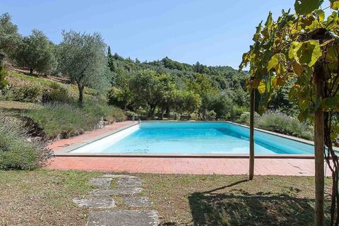 Landejendom i Pontassieve, Florence, Pontassieve - € 2.500.000 | Ref: ILV93082-1402813 - foto 39