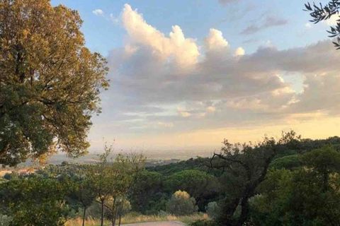 Villa i Riparbella, Pisa, Riparbella - € 1 600 000 | Ref: ILV93132-1403424 - foto 44