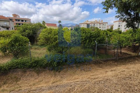 Terra a Alverca do Ribatejo, Lisbon, Alverca do Ribatejo - € 2.200.000 | Ref: ALVER-216771 - foto 13