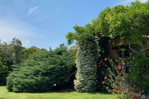 Villa i Arzachena, Sassari, Arzachena - € 4.500.000 | Ref: ILV93352-1405489 - foto 20