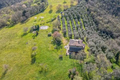 Gårdshus i Bucine, Arezzo, Bucine - € 748 000 | Ref: ILV93366-1405774 - foto 3