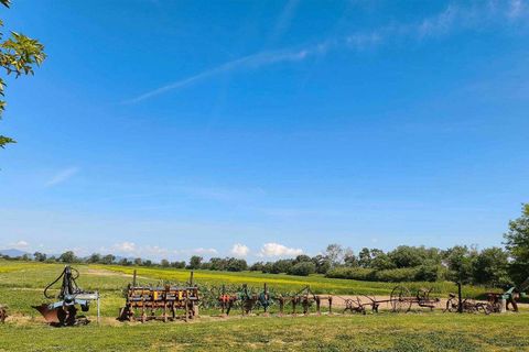 Farm hus i Grosseto, Grosseto, Grosseto - € 2.300.000 | Ref: ILV93102-1406279 - foto 29