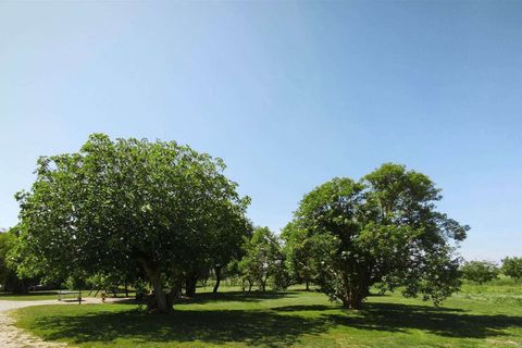 Farm hus i Grosseto, Grosseto, Grosseto - € 2.300.000 | Ref: ILV93102-1406279 - foto 31