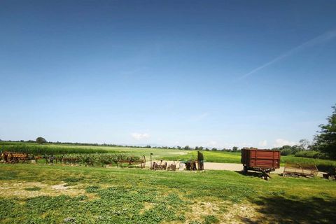 Farm hus i Grosseto, Grosseto, Grosseto - € 2.300.000 | Ref: ILV93102-1406279 - foto 33