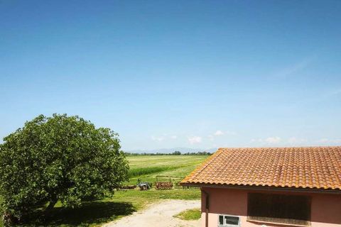 Farm hus i Grosseto, Grosseto, Grosseto - € 2.300.000 | Ref: ILV93102-1406279 - foto 47