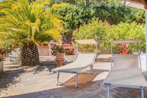 Villa i Capoliveri, Livorno, Capoliveri - € 880.000 | Ref: ILV92873-1406413 - foto 18