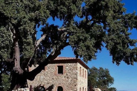 Farm hus i Roccastrada, Grosseto, Roccastrada - € 1.300.000 | Ref: ILV93112-1406499 - foto 28