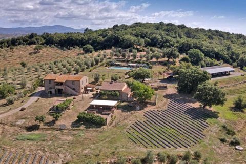 Villa i Gavorrano, Grosseto, Gavorrano - € 1.650.000 | Ref: ILV93256-1407099 - foto 2