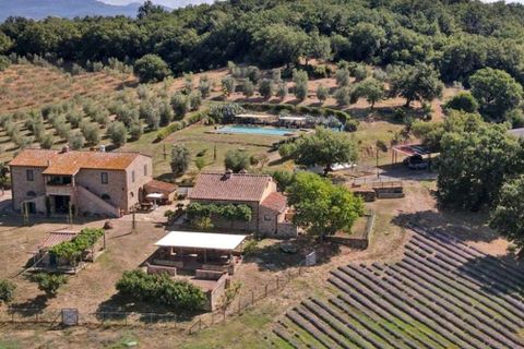 Villa i Gavorrano, Grosseto, Gavorrano - € 1.650.000 | Ref: ILV93256-1407099 - foto 39