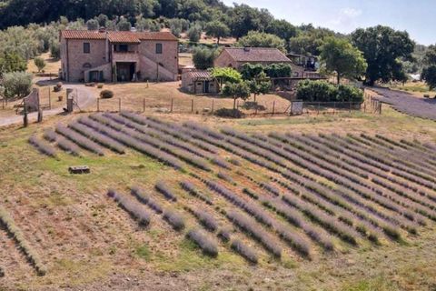 Villa i Gavorrano, Grosseto, Gavorrano - € 1.650.000 | Ref: ILV93256-1407099 - foto 50