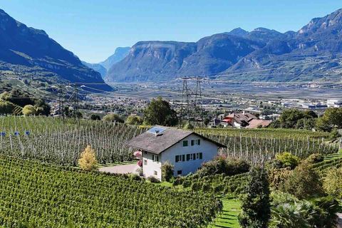 Villa i Egna, South Tyrol, Egna - € 1.180.000 | Ref: ILV93179-1407230 - foto 37