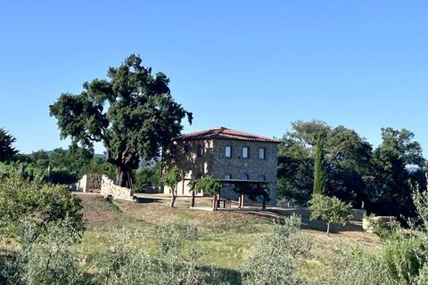 Villa i Grosseto, Grosseto, Grosseto - € 1 300 000 | Ref: ILV93257-1407559 - foto 19