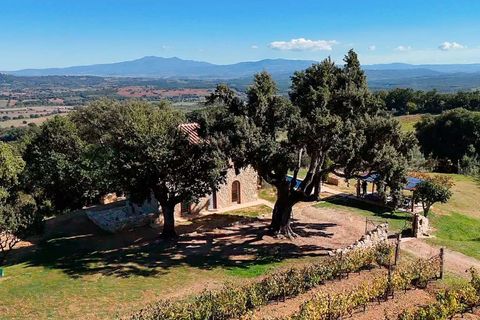 Villa i Grosseto, Grosseto, Grosseto - € 1 300 000 | Ref: ILV93257-1407559 - foto 35