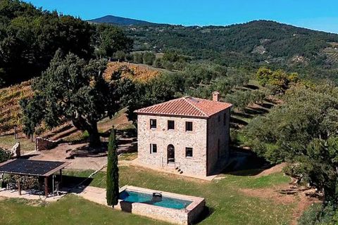 Villa i Grosseto, Grosseto, Grosseto - € 1 300 000 | Ref: ILV93257-1407559 - foto 44