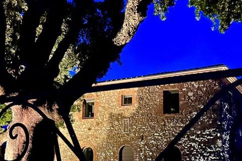 Villa i Grosseto, Grosseto, Grosseto - € 1 300 000 | Ref: ILV93257-1407559 - foto 46
