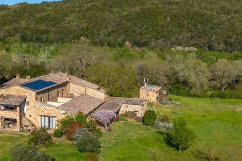 Masia a Grosseto, Grosseto, Grosseto - € 1.790.000 | Ref: ILV93259-1407812 - foto 47