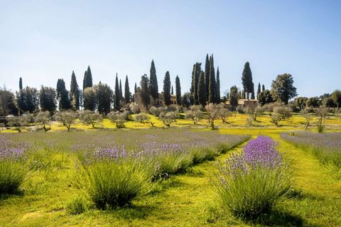 Villa i San Gimignano, Siena, San Gimignano - € 2.750.000 | Ref: ILV93238-1407956 - foto 9