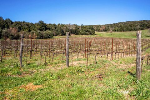 Villa i San Gimignano, Siena, San Gimignano - € 2.750.000 | Ref: ILV93238-1407956 - foto 12