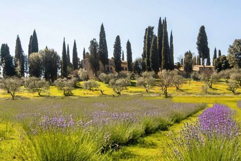 Villa i San Gimignano, Siena, San Gimignano - € 2.750.000 | Ref: ILV93238-1407956 - foto 37