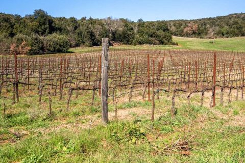Villa i San Gimignano, Siena, San Gimignano - € 2.750.000 | Ref: ILV93238-1407956 - foto 40