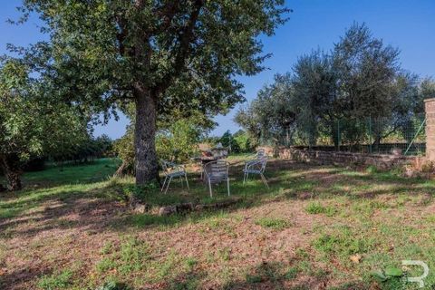 Farm hus i Sorano, Grosseto, Sorano - € 288.000 | Ref: R054810SORU-1408109 - foto 12