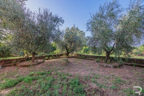 Farm hus i Sorano, Grosseto, Sorano - € 288.000 | Ref: R054810SORU-1408109 - foto 17